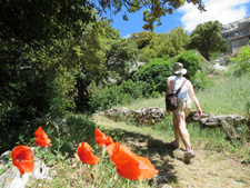 France-Provence-Côtes du Rhône Hiking Week